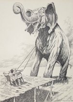 A shaky platform for an elephant